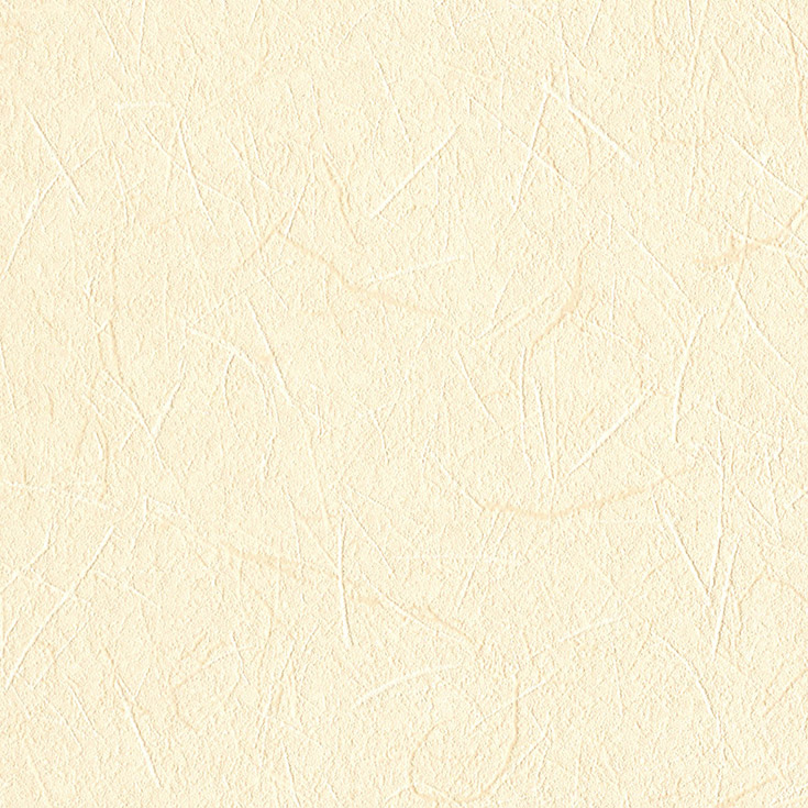 チップ画像