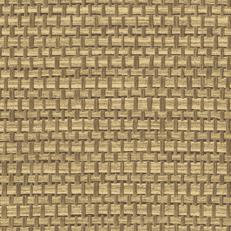 チップ画像
