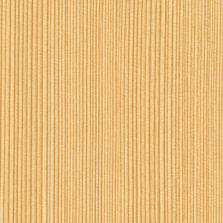 チップ画像