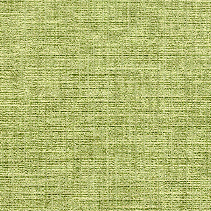 チップ画像
