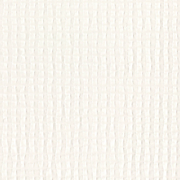 チップ画像