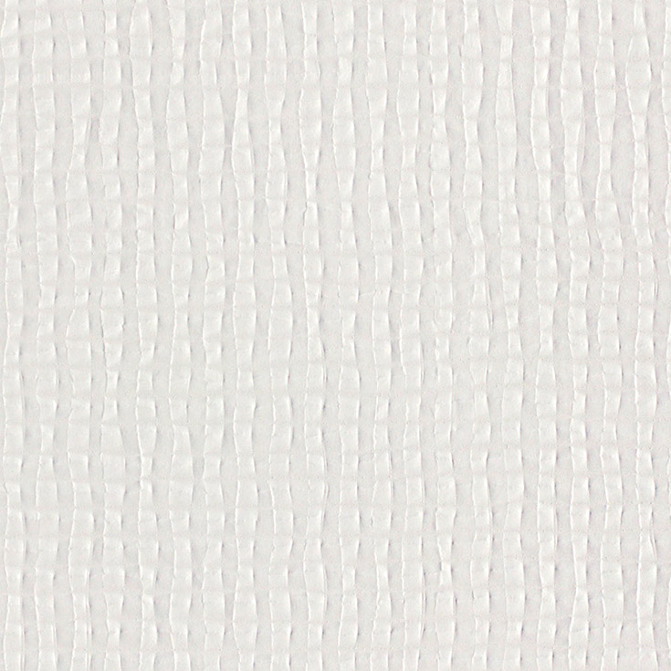 チップ画像