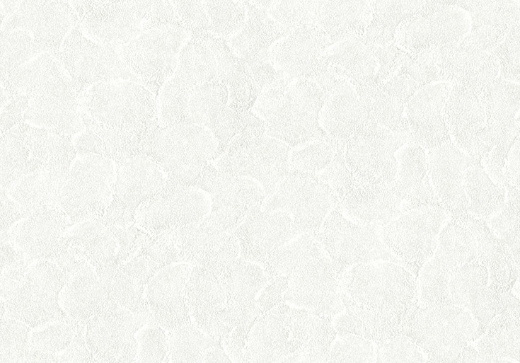 リピート画像