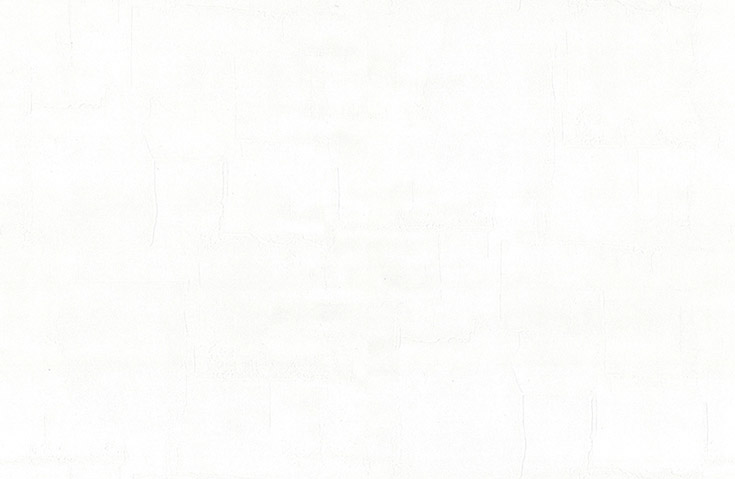 リピート画像