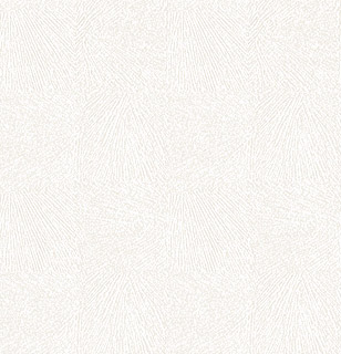 リピート画像