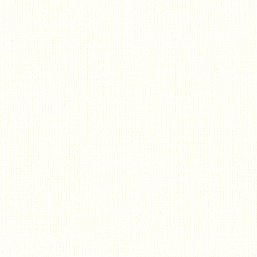 リピート画像