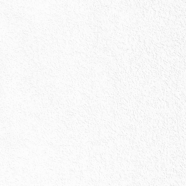 チップ画像