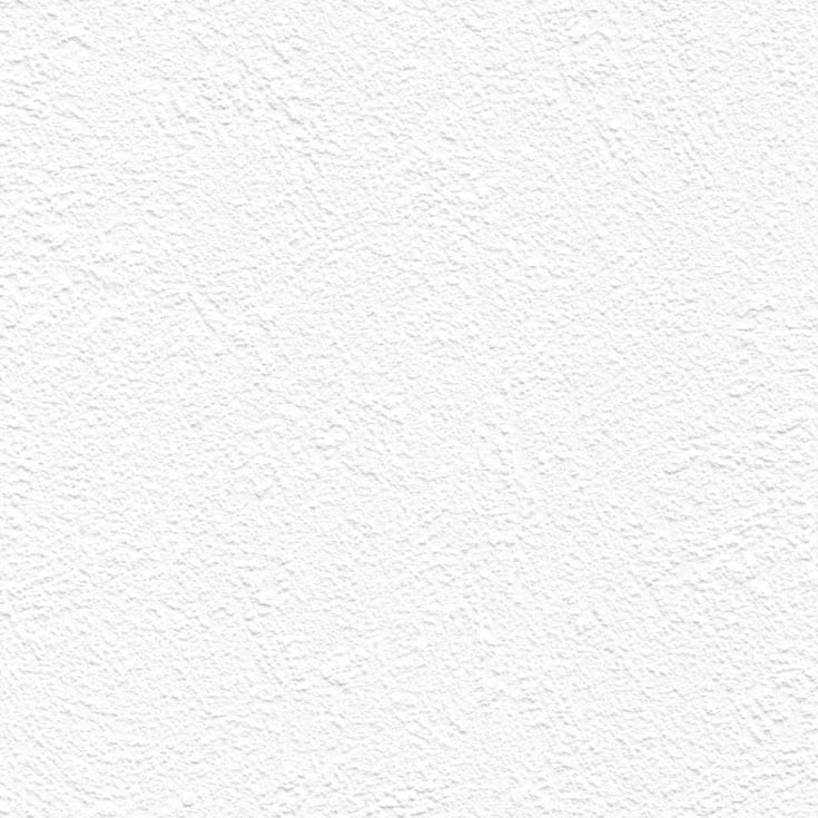 チップ画像