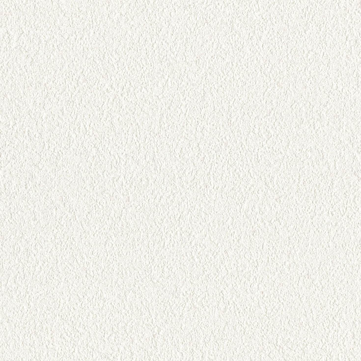 チップ画像