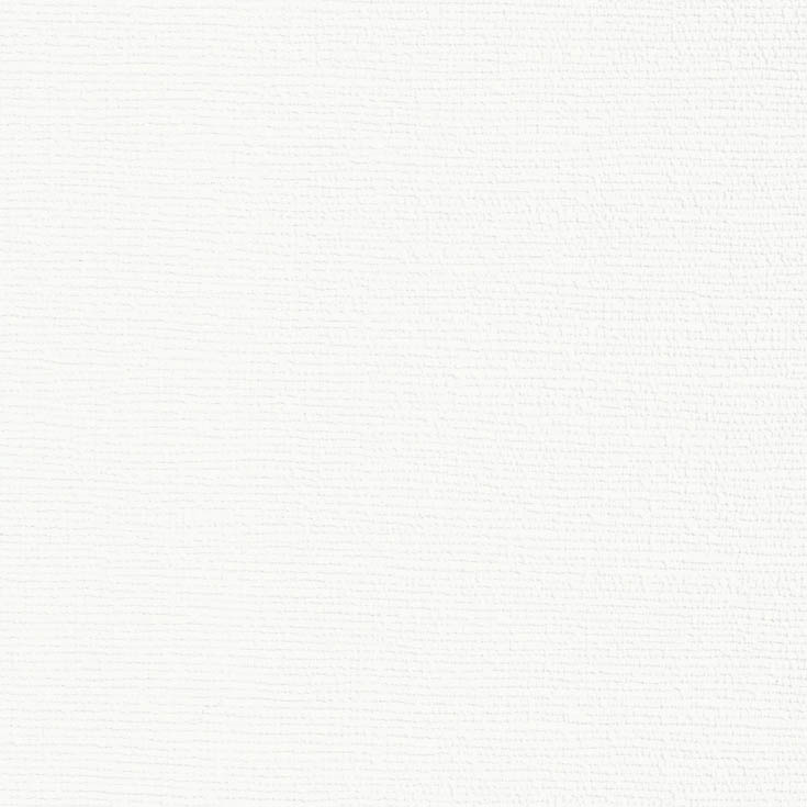 チップ画像