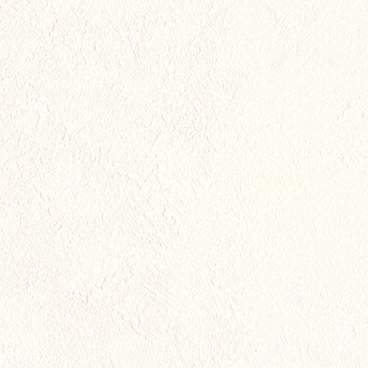 チップ画像