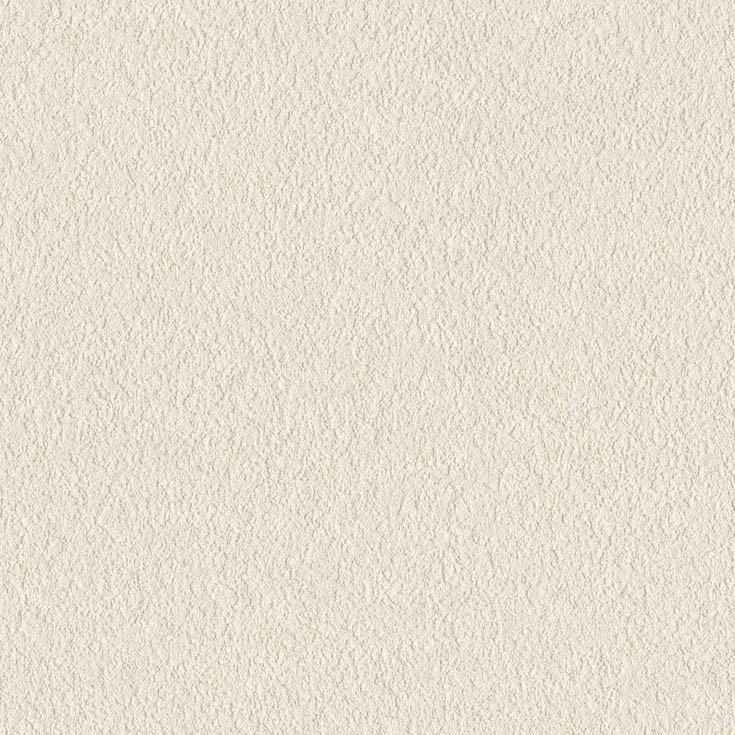 チップ画像