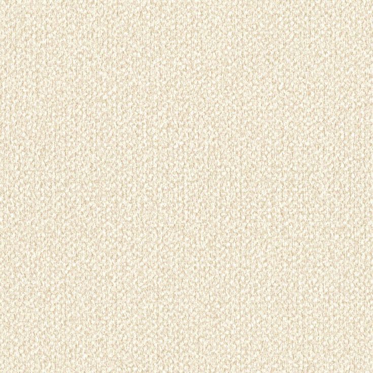 チップ画像