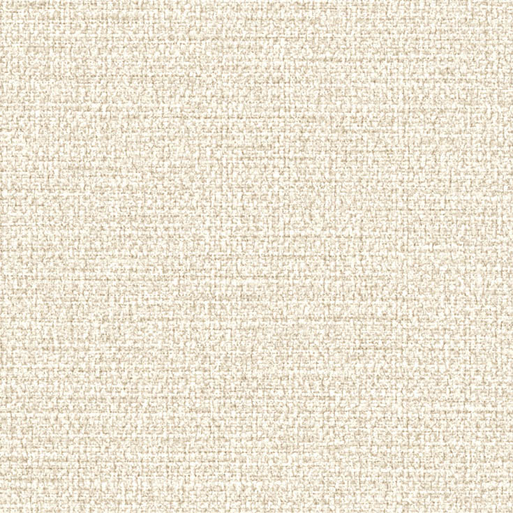 チップ画像