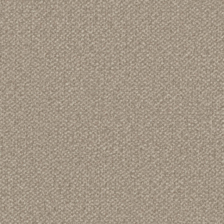 チップ画像