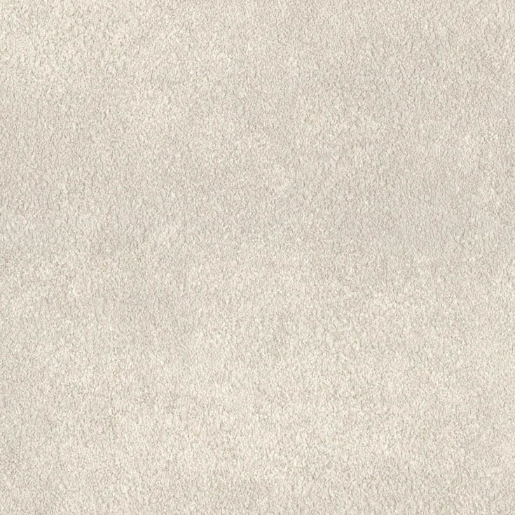 チップ画像