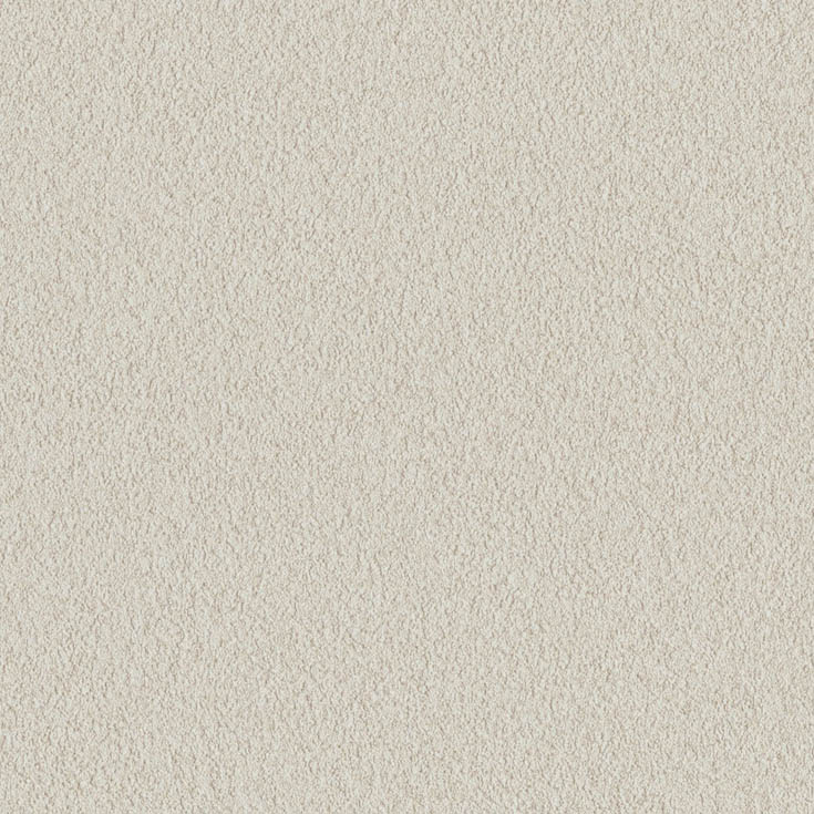 チップ画像