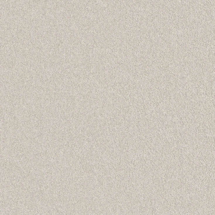 チップ画像