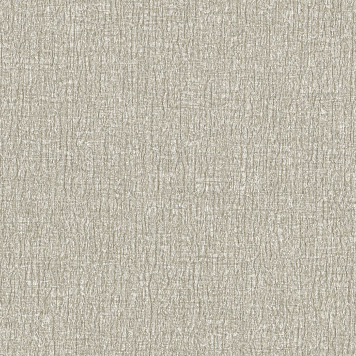 チップ画像