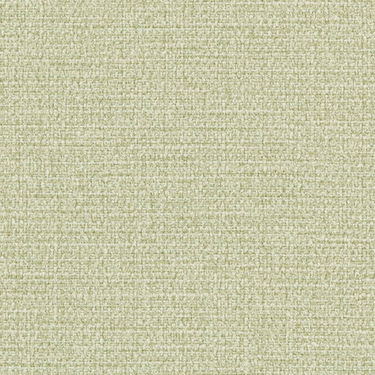 チップ画像
