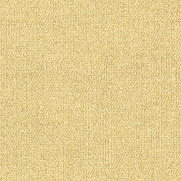 チップ画像