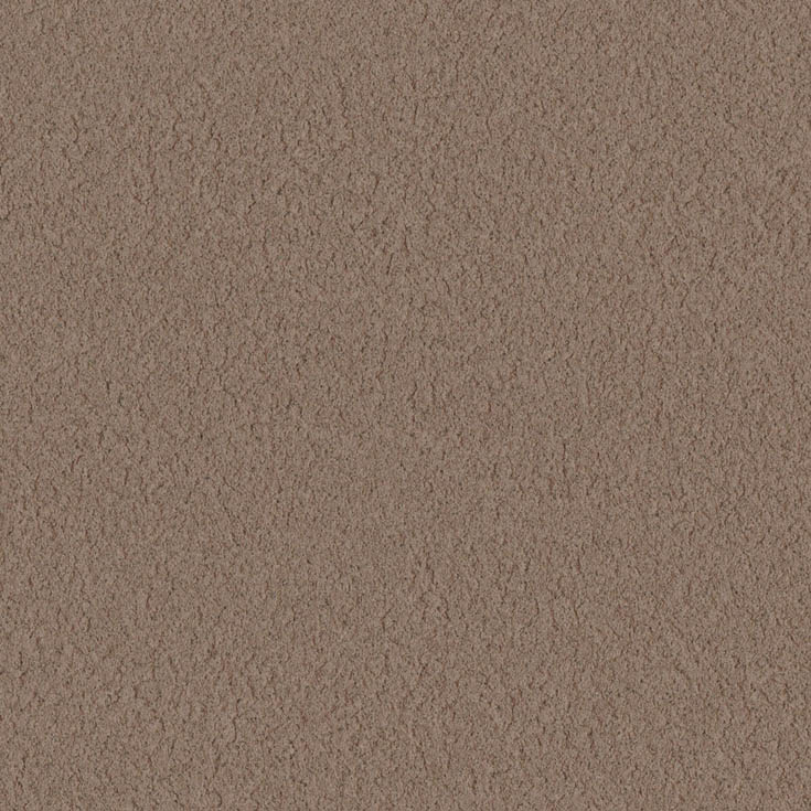 チップ画像