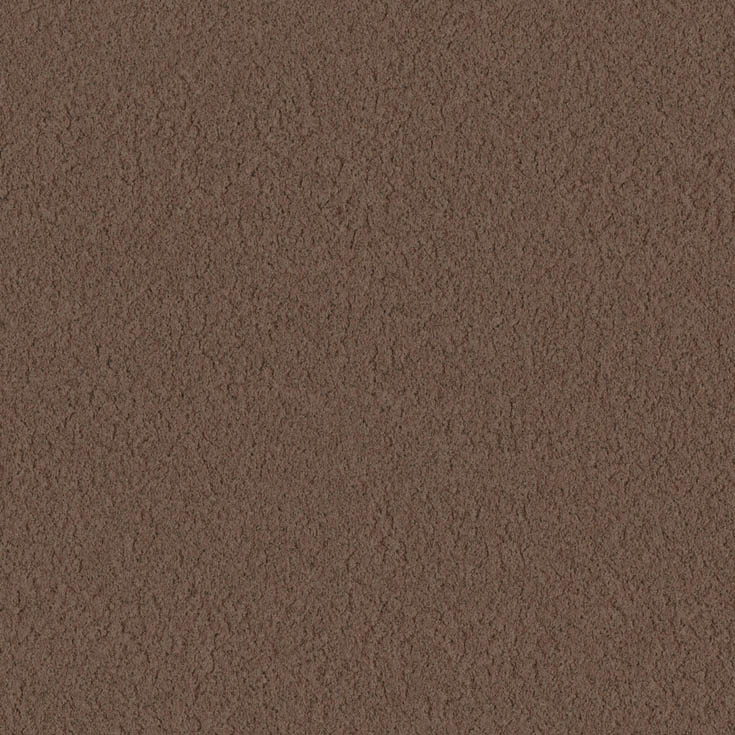 チップ画像