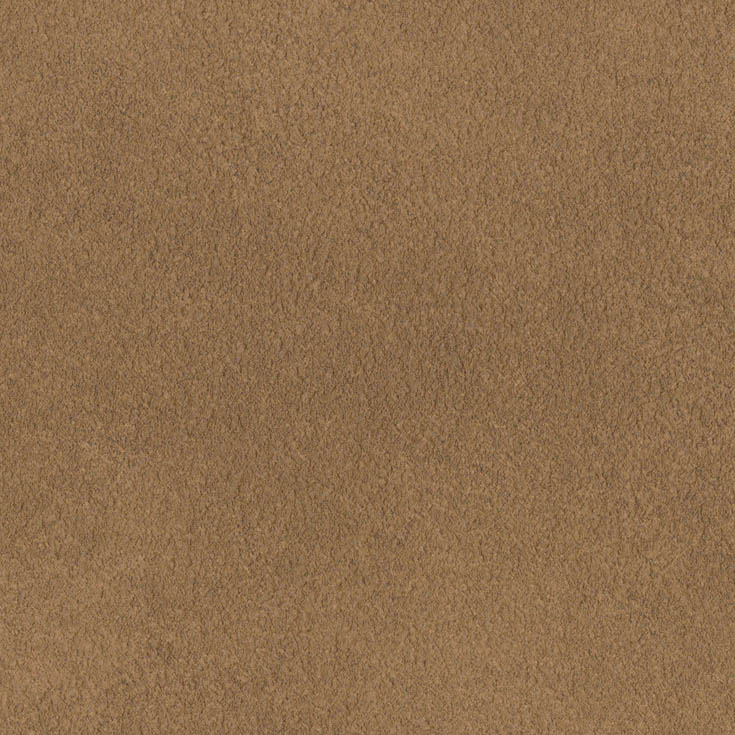 チップ画像