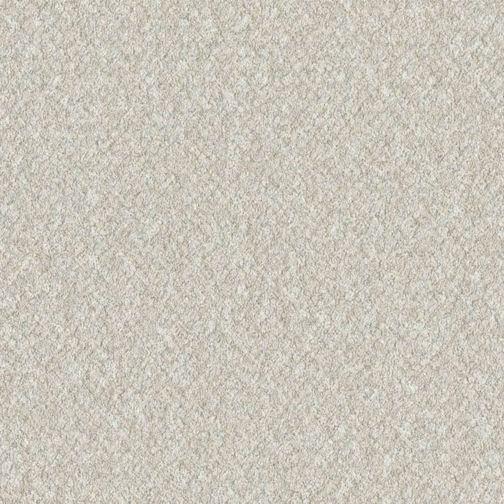 チップ画像