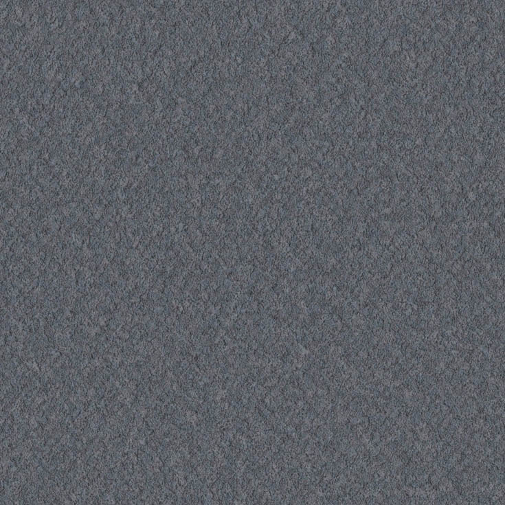 チップ画像