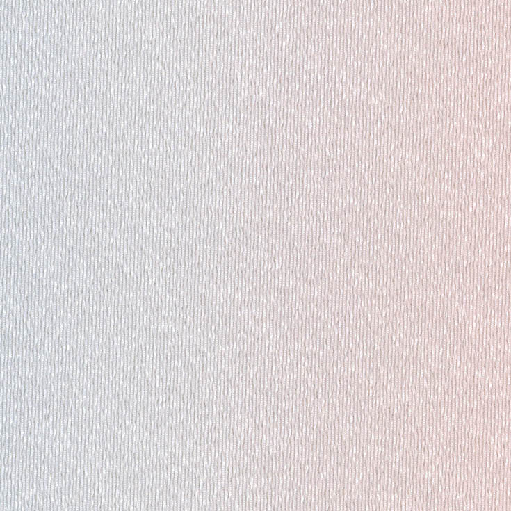 チップ画像