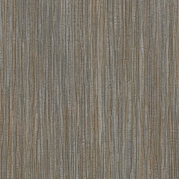 チップ画像