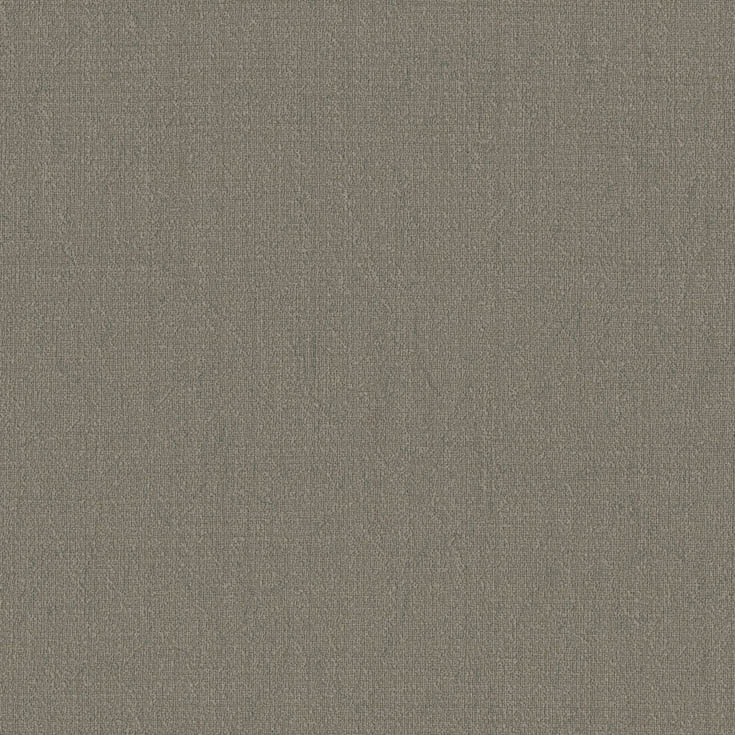チップ画像