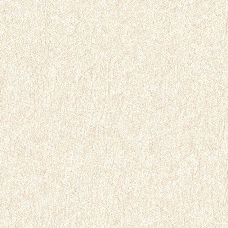 チップ画像
