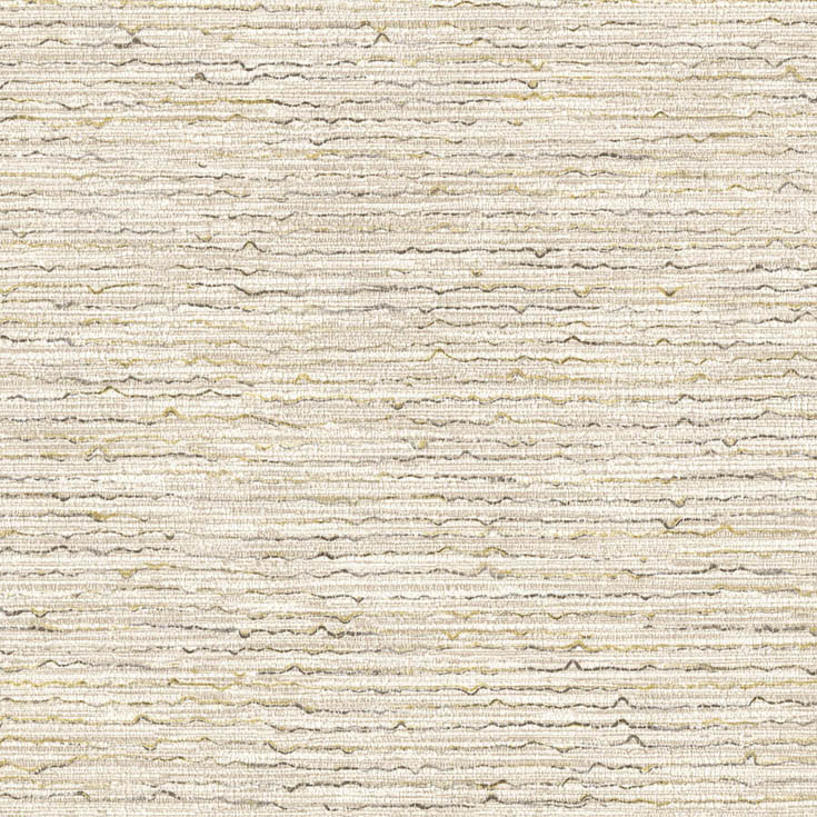 チップ画像