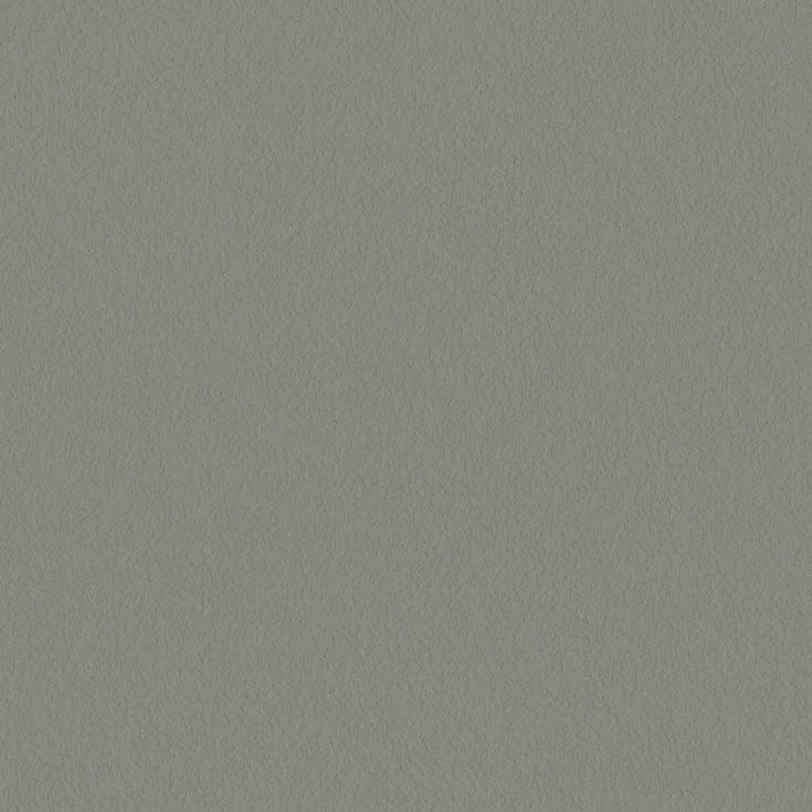 チップ画像