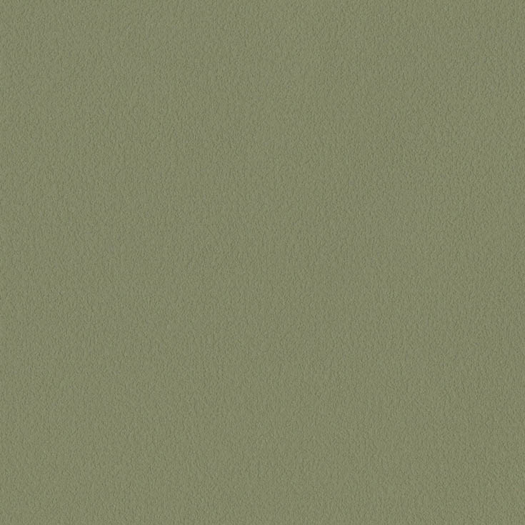 チップ画像