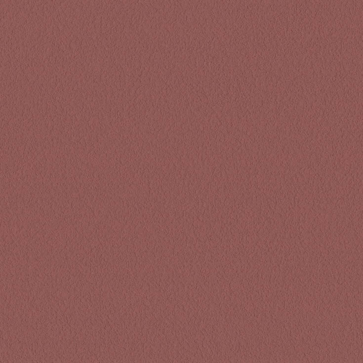 チップ画像