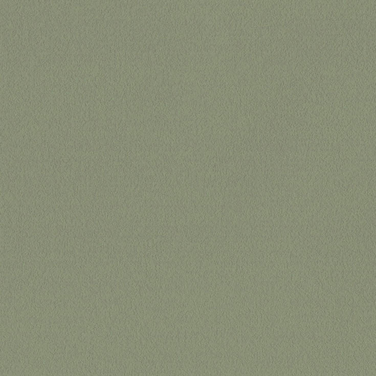 チップ画像