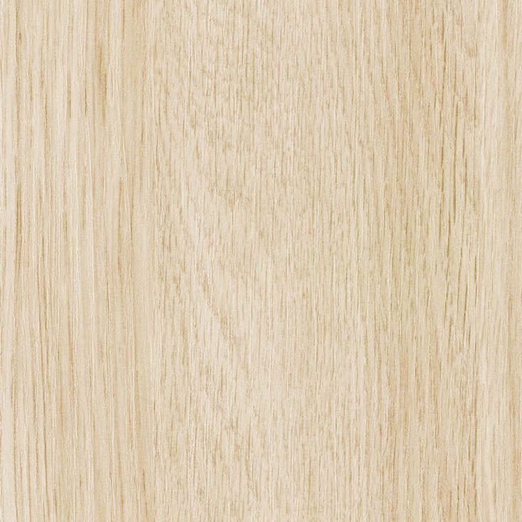 チップ画像