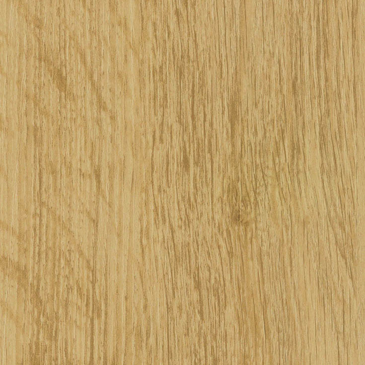 チップ画像