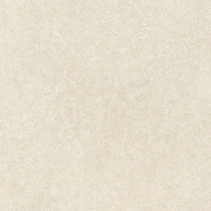 チップ画像