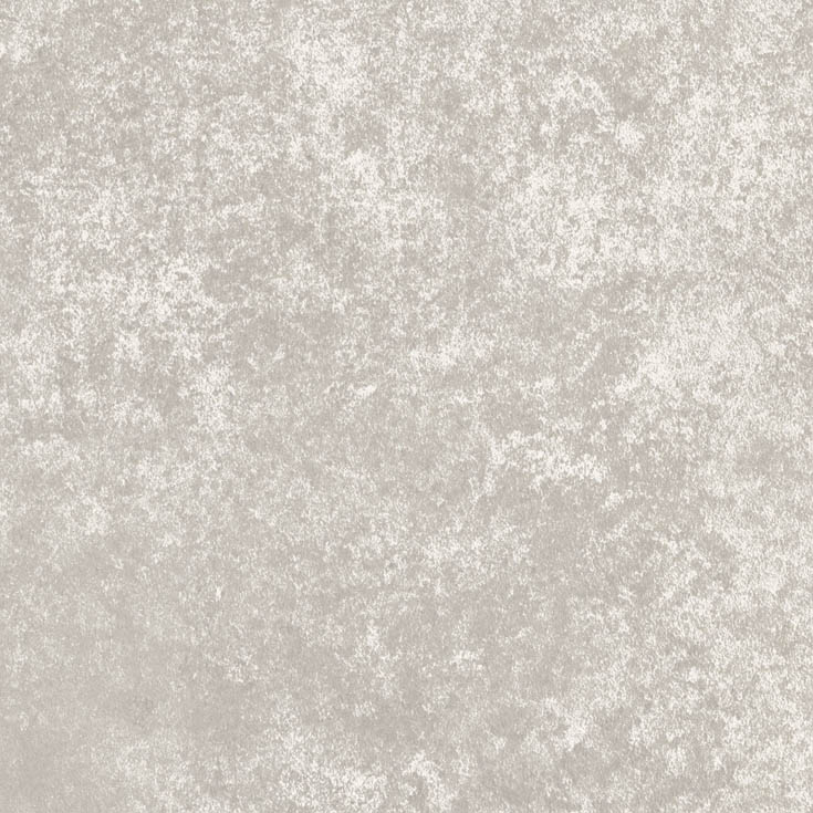 チップ画像