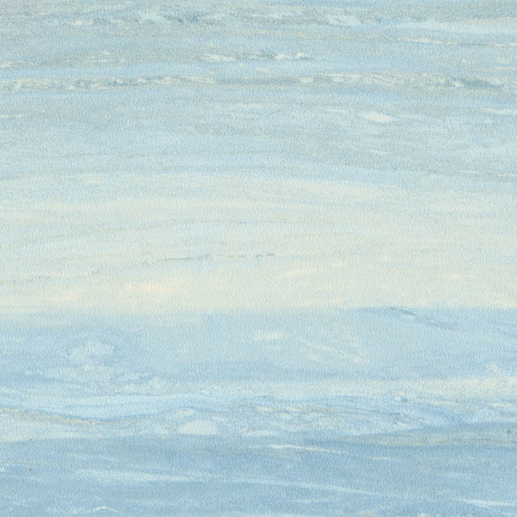 チップ画像