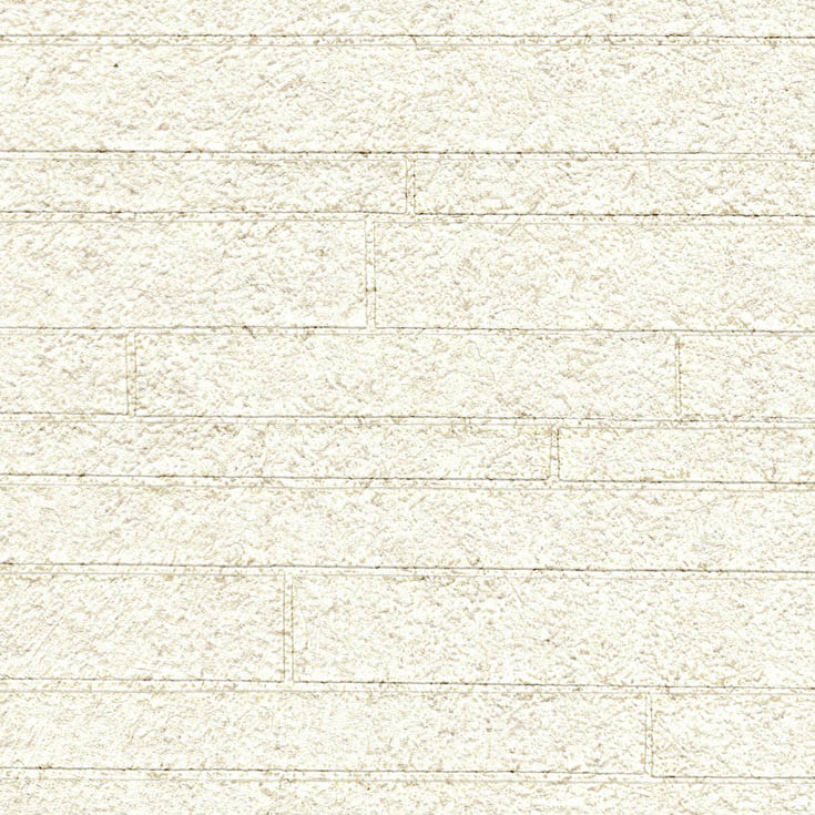 チップ画像