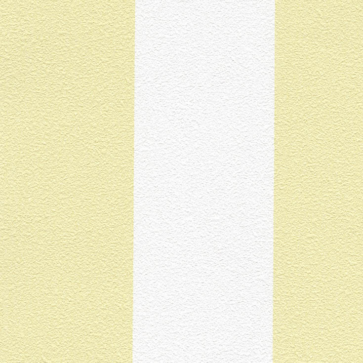 チップ画像