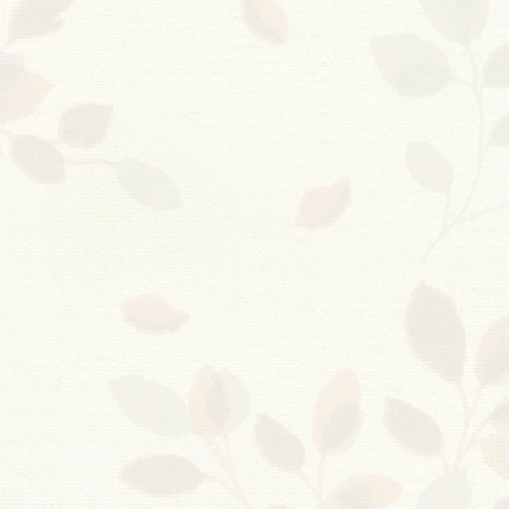 チップ画像