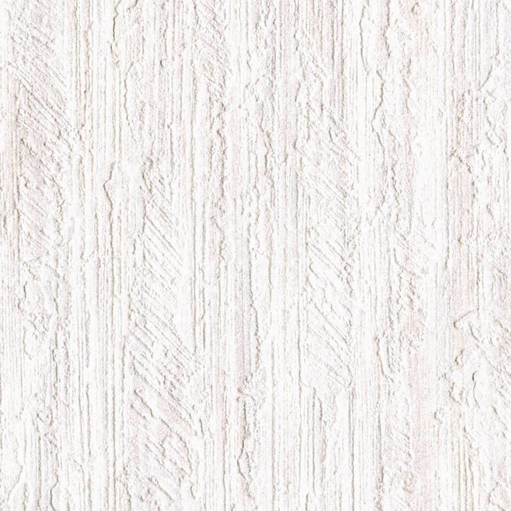 チップ画像