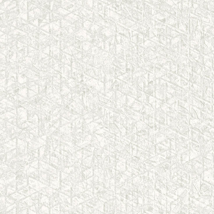チップ画像