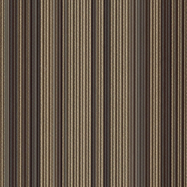 チップ画像